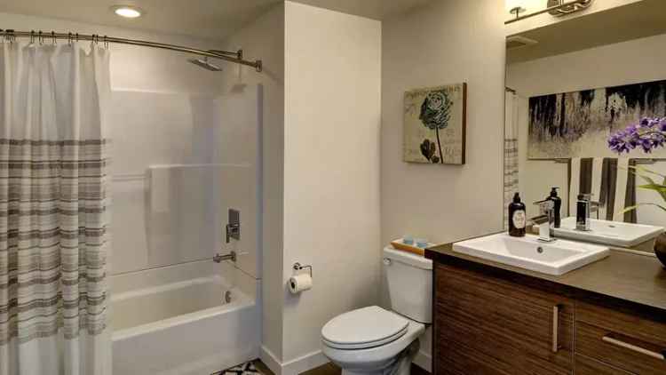 Rent 1 Bedroom Apartments at 4400 Alaska in Seattle with Great Amenities