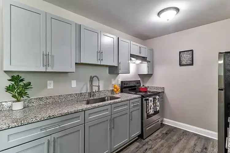 Rent Apartments in Macon with Modern Interiors and Pet-Friendly Options