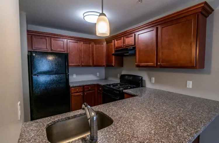 Rent Luxury Apartment Unit with Upgrades in Ideal Location