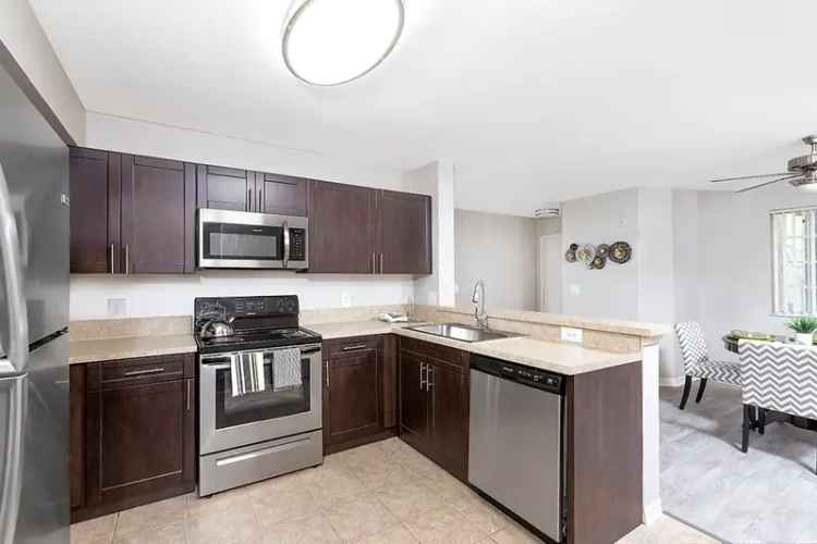 Rent Stylish Apartments in Coral Springs with Resort-Style Amenities