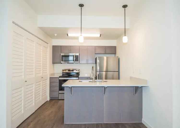 Rent Apartments in Vancouver with Modern Features and Community Charm