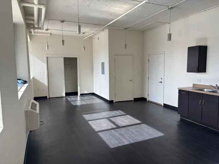 Rent Apartments in Downtown with Full Kitchens and Pet Friendly