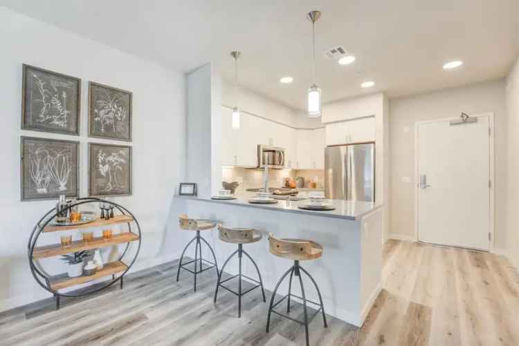 Luxury Apartments for Rent in San Diego with Thoughtful Amenities