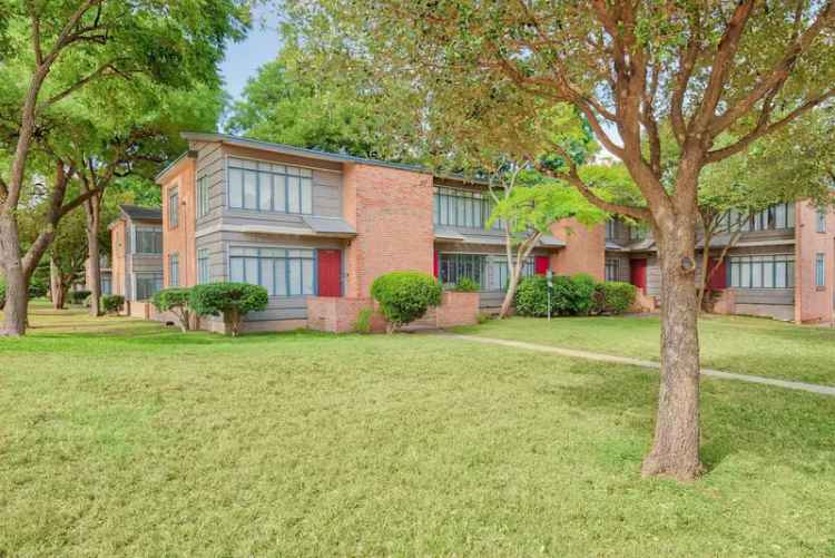 Rent Apartment in Alamo Heights with Hardwood Floors and Natural Light