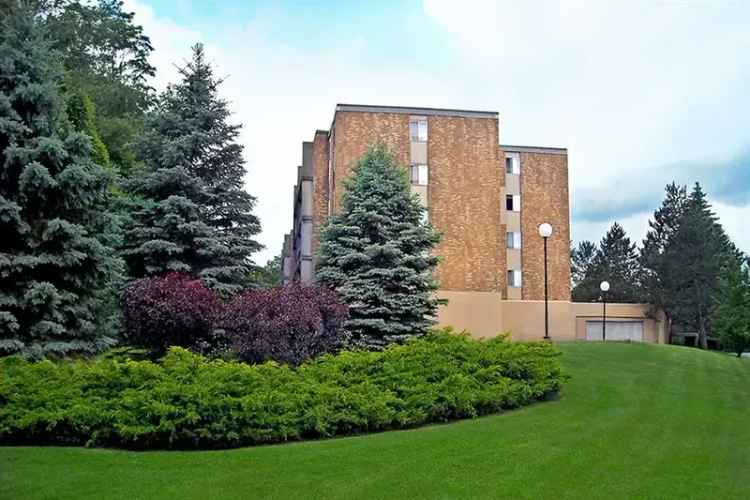 Rent Apartments in Guilderland Center with Central Air and Pet Friendly