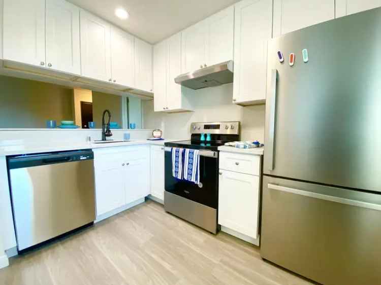 Rent Apartments in La Mesa with Luxurious Features and Scenic Views