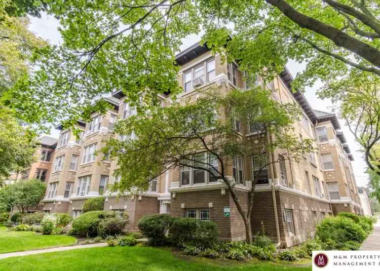 Rent Spacious Vintage Apartments in Oak Park with High Ceilings