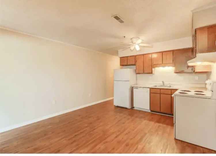 Rent Vibrant Urban Apartments in Charleston with Great Amenities