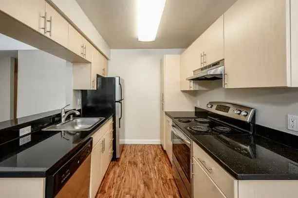 Rent Apartment in Central San Jose with Modern Features and Pool