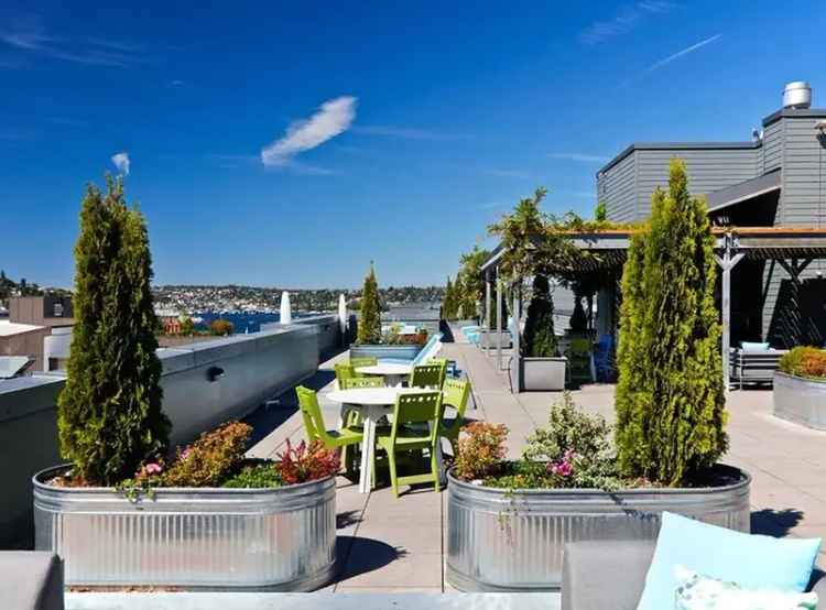 Rent Stunning Apartments in Seattle with Rooftop Views and Luxury Features