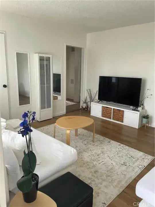 Furnished apartment for rent near USC with 2 beds and 1 bath