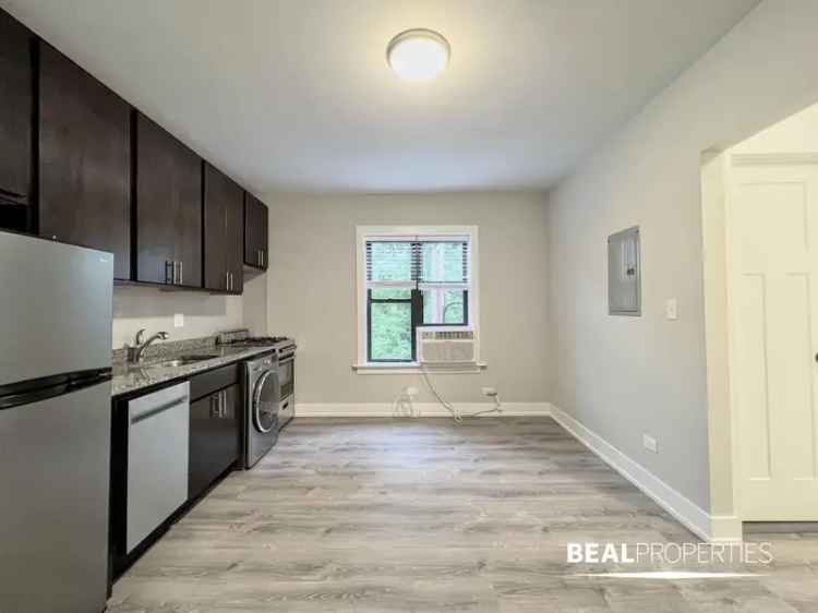 Rent Lincoln Park Apartments Near Fullerton and Clark with Beautiful Features