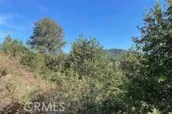 Land For Sale in Lake Arrowhead, California