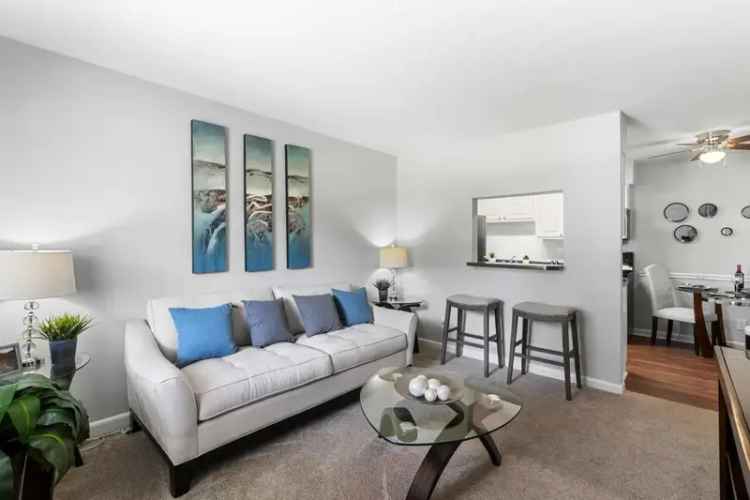 Rent one bedroom apartment near UNC in Carrboro with modern amenities