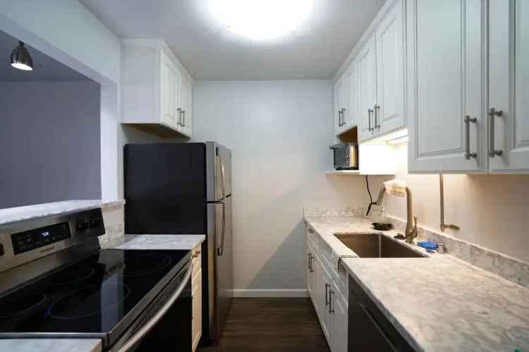 Rent Furnished Apartment in Walnut Creek with Luxury Amenities