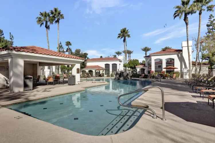 Rent Spacious Apartments with Resort Amenities Near Superstition Springs