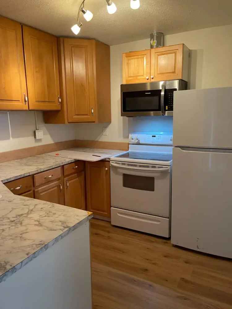 Rent Apartment Unit in Downtown Tacoma with Character and Convenience