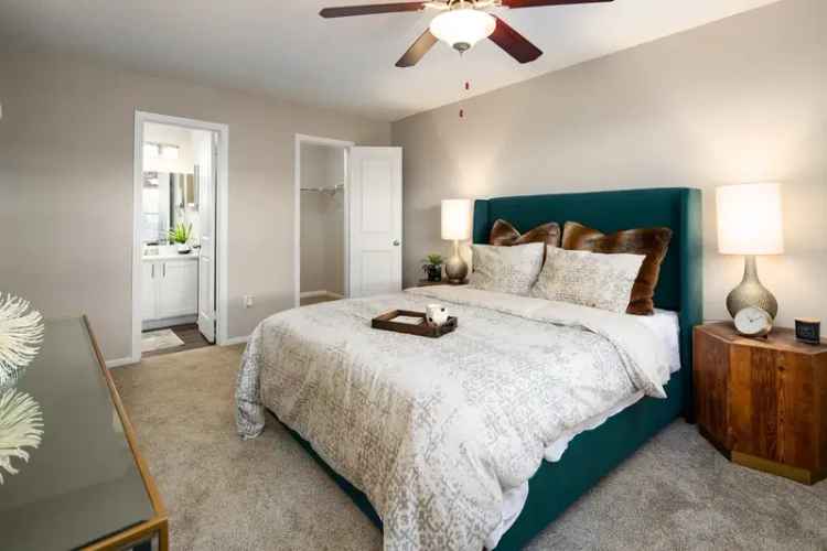 Rent Apartments in College Park with Upscale Amenities and Pet-Friendly Options