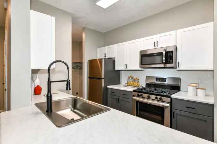 Rent Apartments in Chamblee with Great Amenities and Pet Friendly