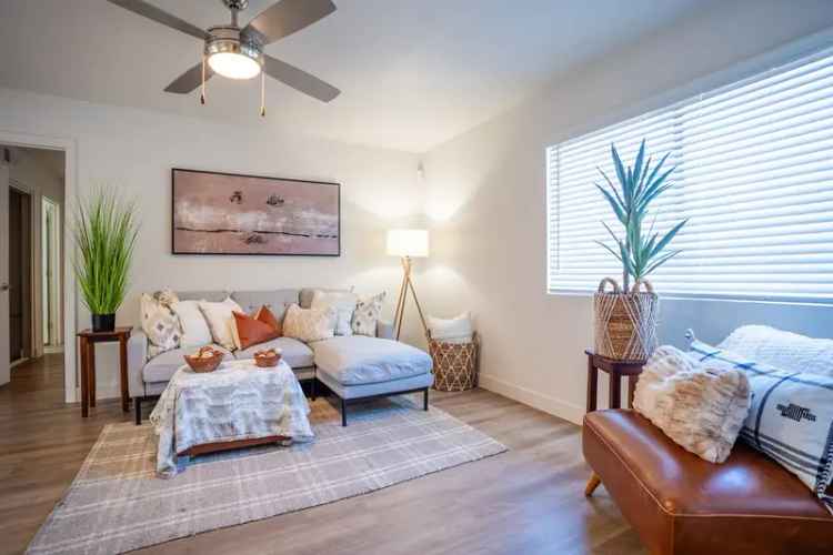 Rent Apartments in Palm Valley with Great Amenities