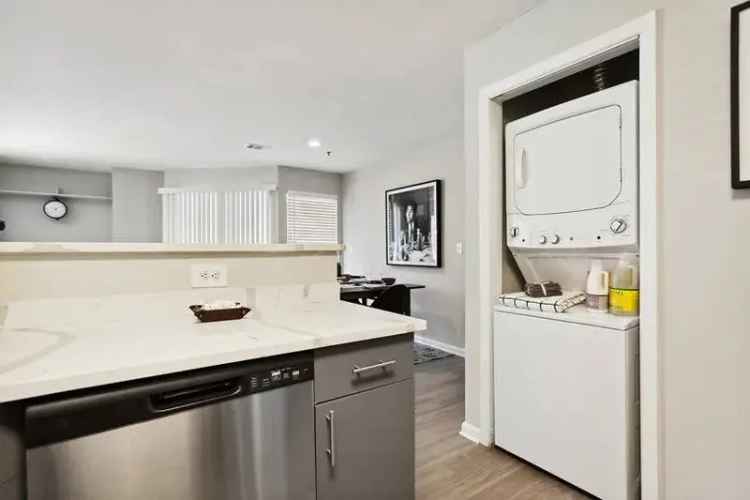 Luxury Apartments for Rent in Stamford CT with Premium Amenities