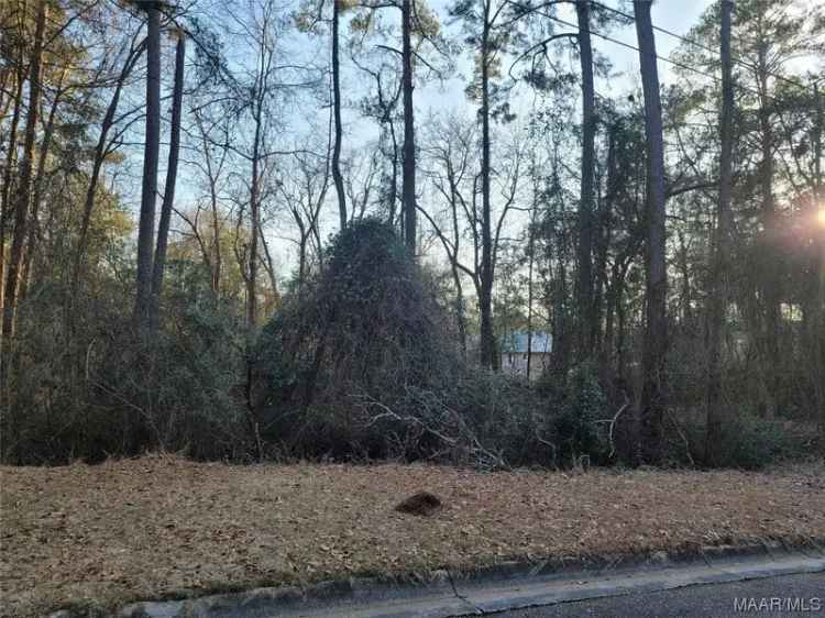 Buy Commercial Lot Near Publix on Lee Street with Old Tin House