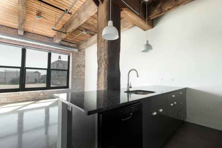 Rent Apartments in Pilsen Chicago with Historic Charm and Modern Amenities