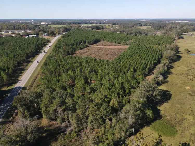 Buy Land in Enterprise AL with Pine Plantation and Hunting Features