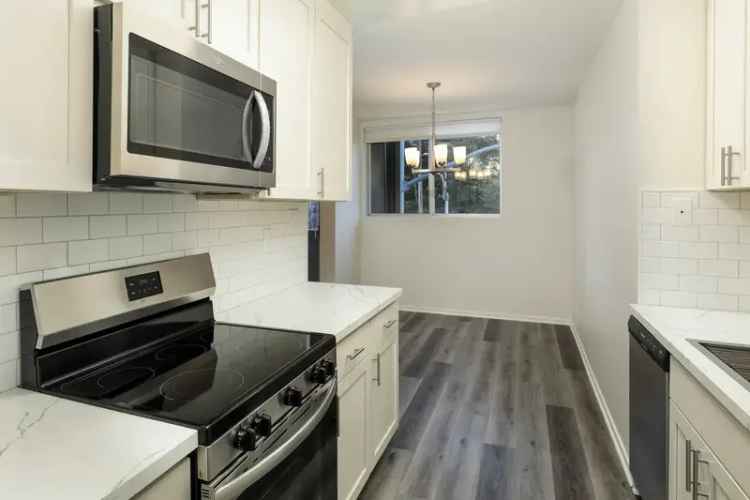 Rent Apartments in Burlingame with Garden Pool and Private Patios