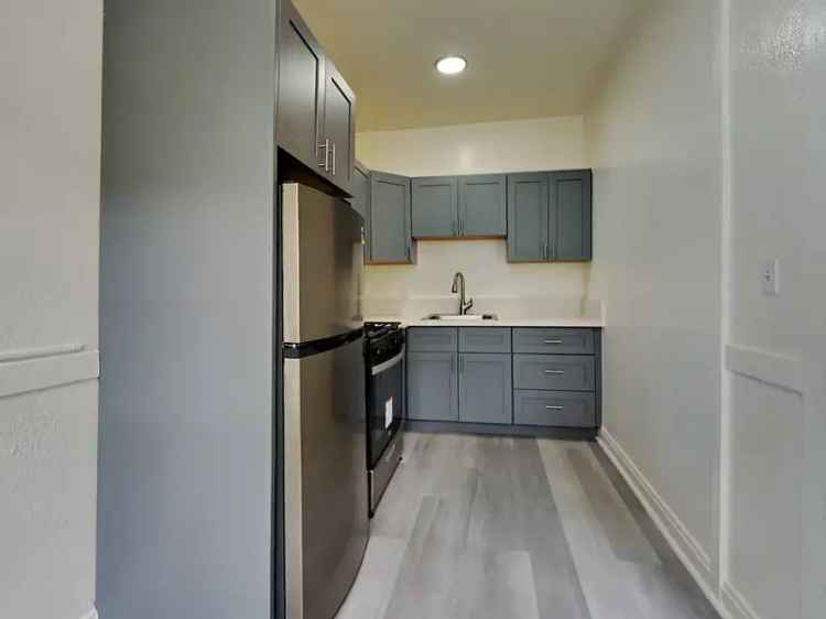 Rent Apartments in San Francisco with Modern Finishes and Pet-Friendly Amenities