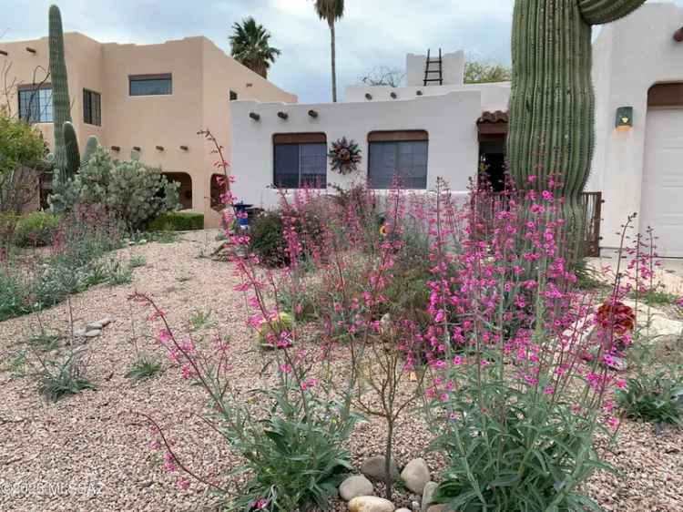 Stunning Buy Contemporary Home in Tucson with Mountain Views and Patios