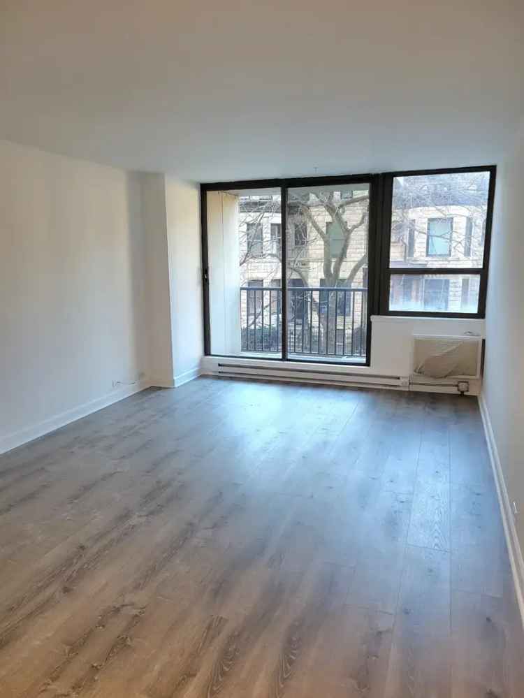 Rent 1 Bedroom Apartment in Chicago with Modern Amenities