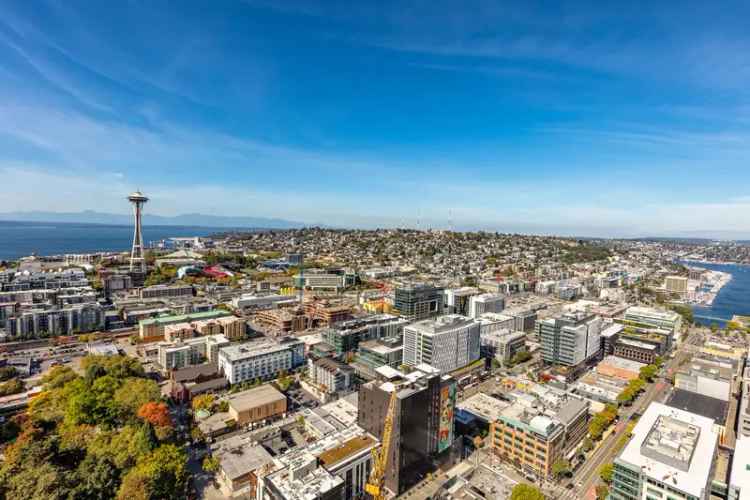 Rent Luxury Apartments in Seattle with Unique Features for Your Comfort