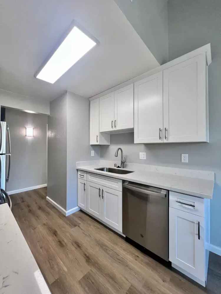 Rent Spacious Apartments with Great Amenities in Sunnyvale Mountain View