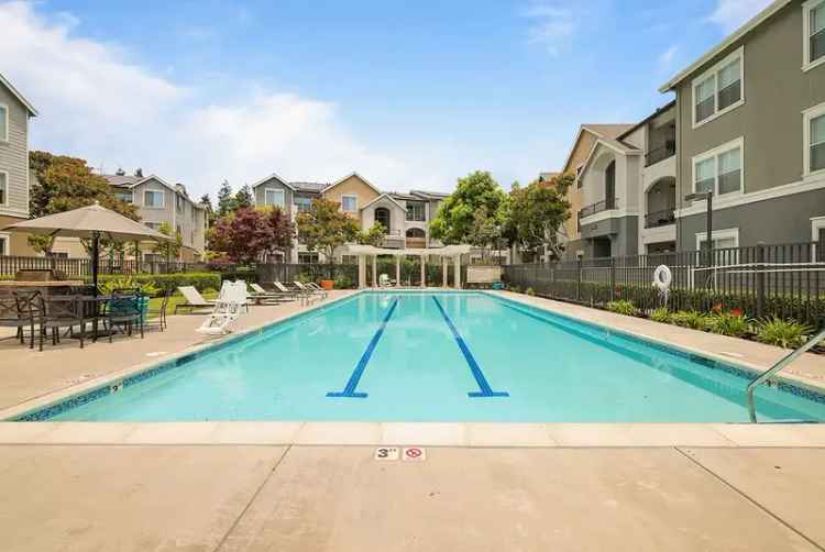 Rent City Centre Apartments in Hayward CA with Modern Amenities