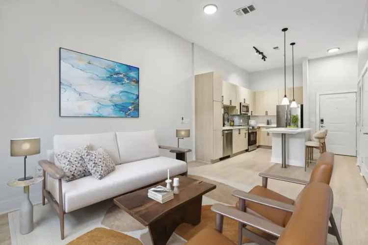 Rent Luxury Apartments in North Hyde Park Tampa with Premium Amenities