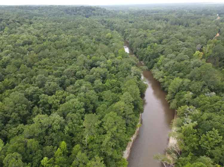 Land For Sale in Newton, Alabama