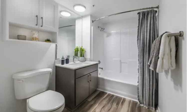 Rent Stylish Apartments in Long Beach with Modern Amenities