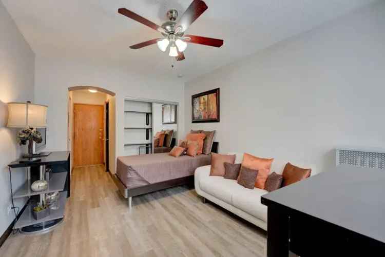 Rent Apartment in Chicago Gold Coast with Convenient Location and Amenities