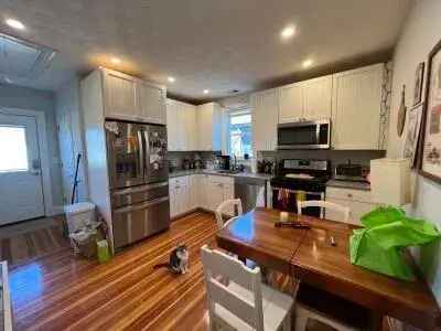 Rent Apartment Unit 4 Bed 2 Bath in Davis Square with Modern Features