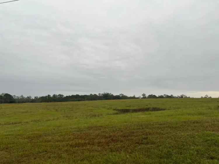 Buy Pasture Land in Opp with Pond and Road Frontage