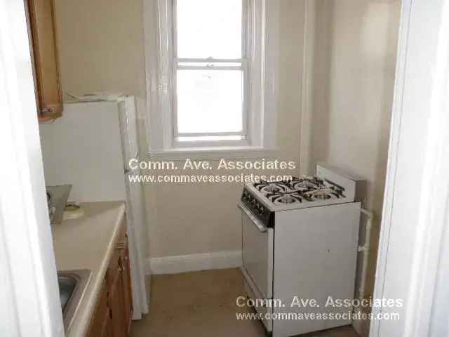 Rent 1 Bedroom Apartment in Allston Brighton with High Ceilings and Hardwood Floors