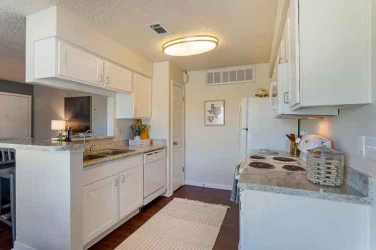 Rent Apartments Near Texas A&M University with New Amenities