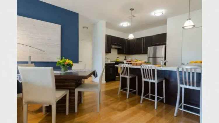 Rent Apartments in Downtown Stamford with Unparalleled Amenities