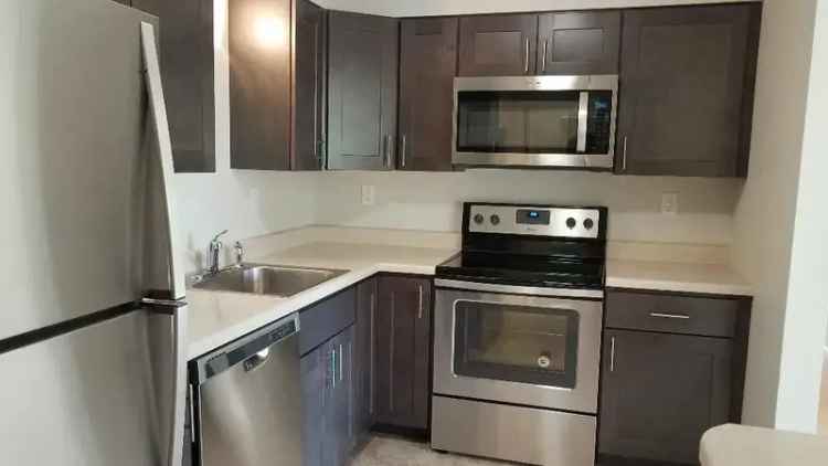 Rent Apartments in Delmar NY With Spacious Layouts and Great Amenities