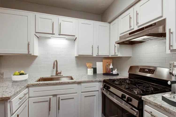 Rent Apartments in Savannah Georgia with Modern Amenities