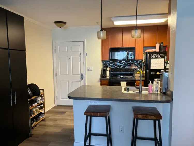 Rent Cozy 1 Bedroom Condo in Vibrant Little Italy San Diego