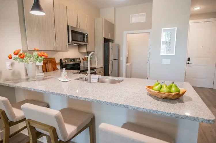 Rent Luxury Apartments in Charleston with Beautiful Views and Amenities