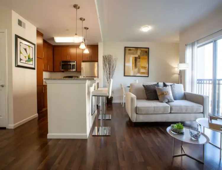 Rent Apartments in Stamford CT with Premium Amenities and Beautiful Designs