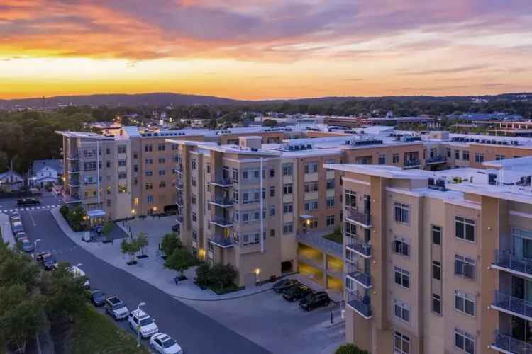 Rent Riverside Apartments in Waltham with Luxury Amenities